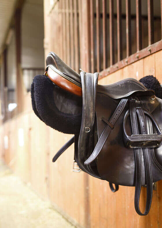 pferd stallbedarf banner c